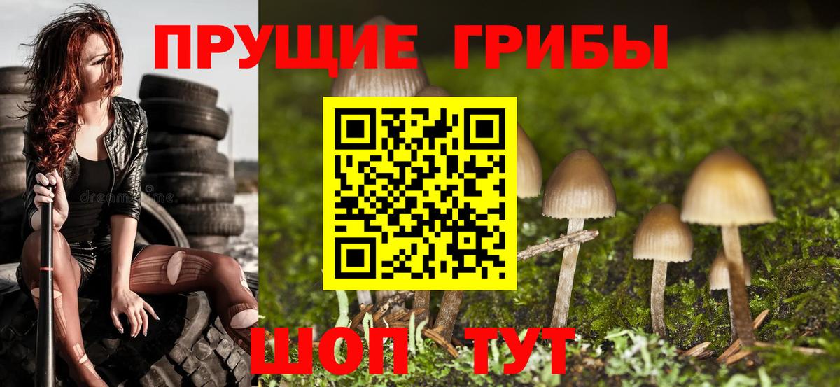 Арсеньев  Псилоцибиновые грибы мухоморы  Галлюциногенные грибы Psilocybe  Вход с VPN 