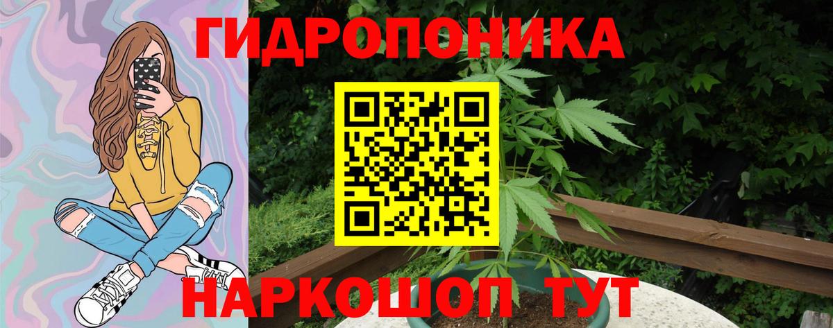 Конопля Bruce Banner  Конопля OG Kush  Арсеньев  Вход с VPN  Бошки Шишки индика  Шишки марихуана тримм 